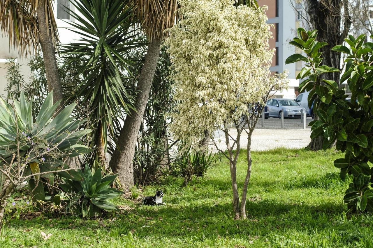 Olive Grove Apartment By Trip2Portugal Lisboa Εξωτερικό φωτογραφία